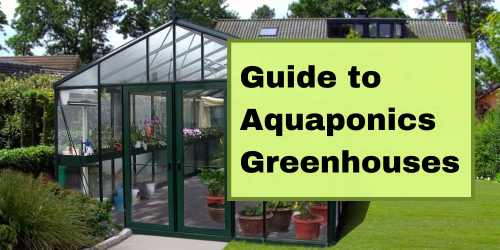 Guide to Aquaponics Greenhouses