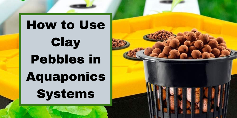 How to Use Clay Pebbles in Aquaponics Systems