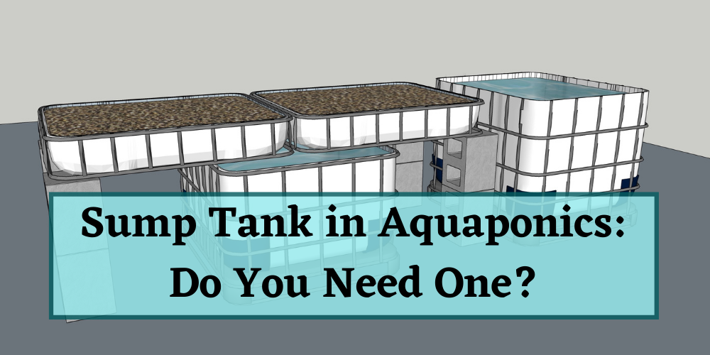 Sump Tank in Aquaponics: Do You Need One?