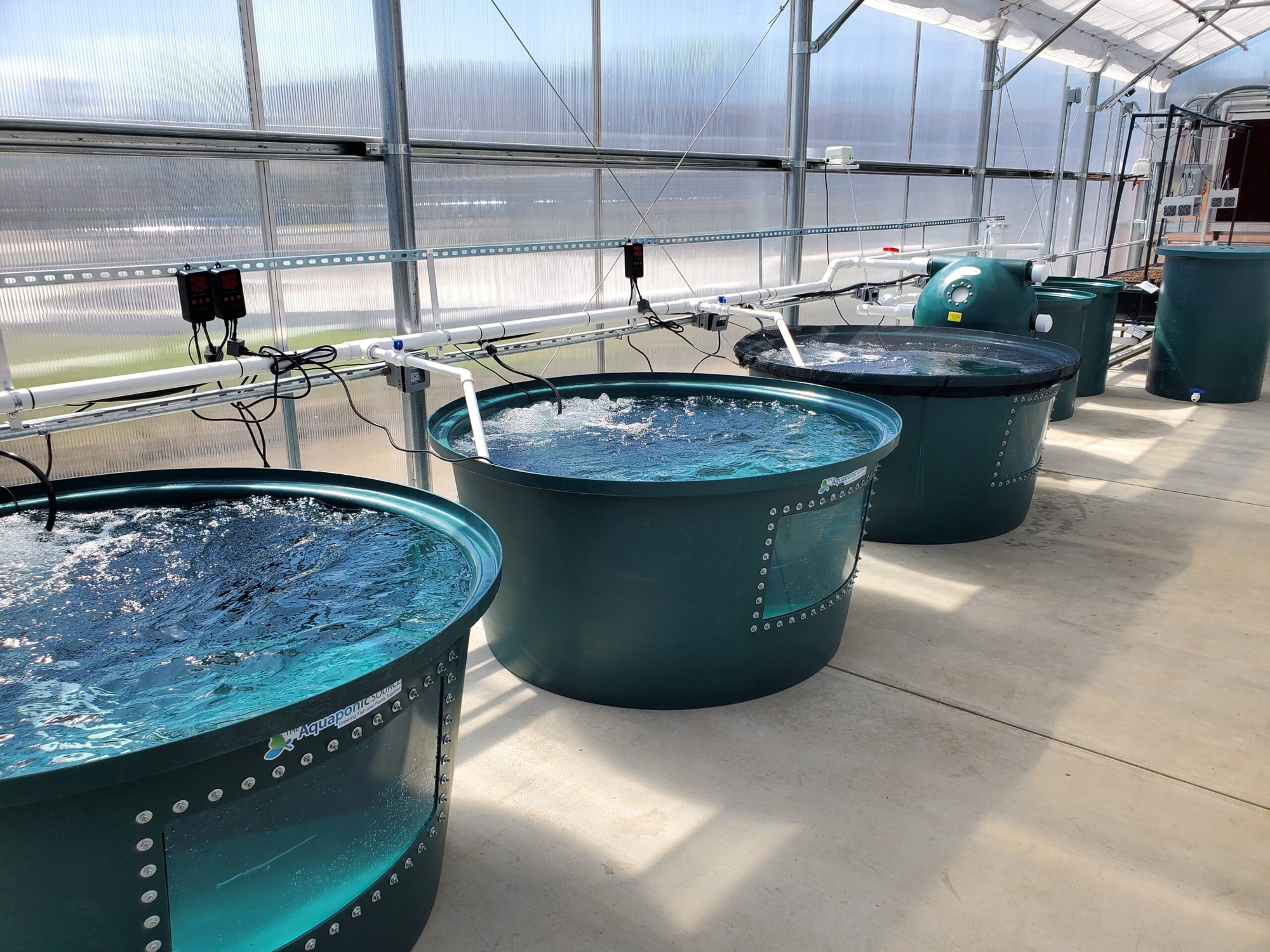 Aquaponics tanks in a greenhouse with water in them, equipped with TAS Fish Tank Window Kit XL for monitoring fish health.