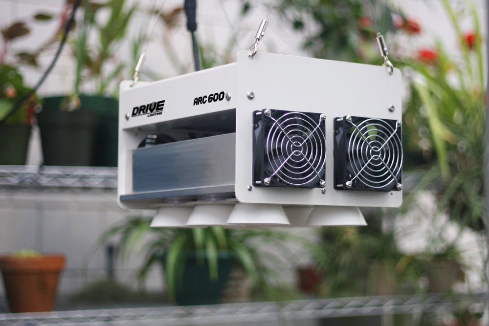 A white LED Performance Lighting Package hanging from a plant in a greenhouse, enhanced with the LightRail 4.0 light moving system and illuminated by an ARC 600 grow light. (Brand: TAS)