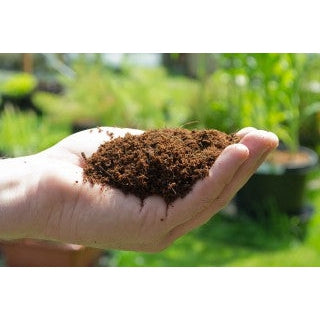 PLANT!T Organic Coco Coir Planting Mix