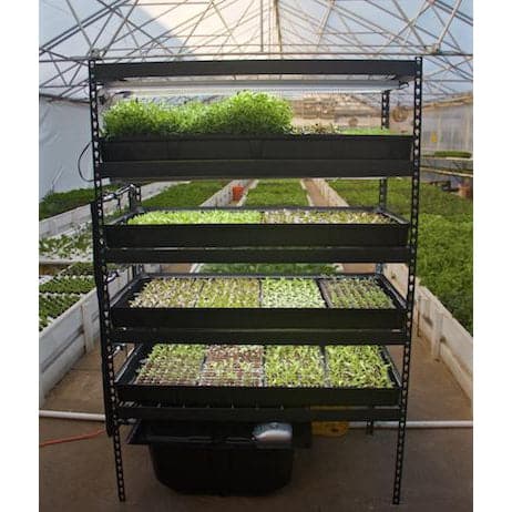 A vertical hydroponic nursery with rows of microgreens growing in the Aquaponics For Life Growasis 4-Tier Nursery &amp; Microgreen System.