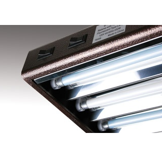 t5 grow light bulb Agrobrite