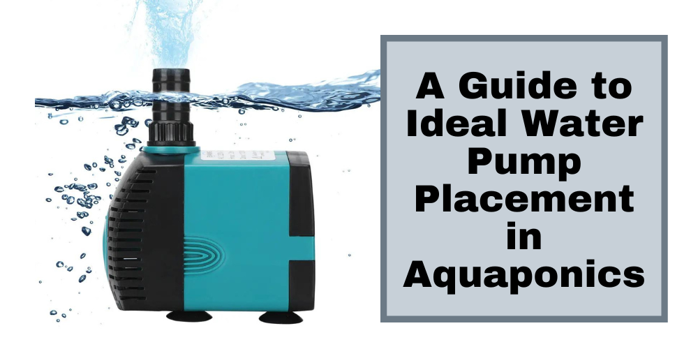 A Guide to Ideal Water Pump Placement in Aquaponics