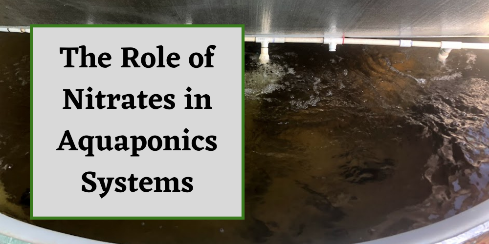 The Role of Nitrate in an Aquaponics Systems