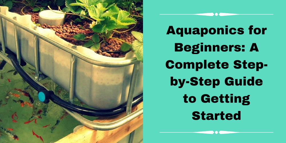 an aquaponics for beginners guide