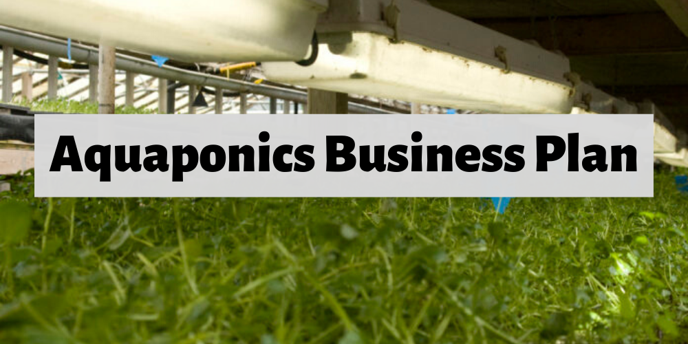Business Plan for Aquaponics