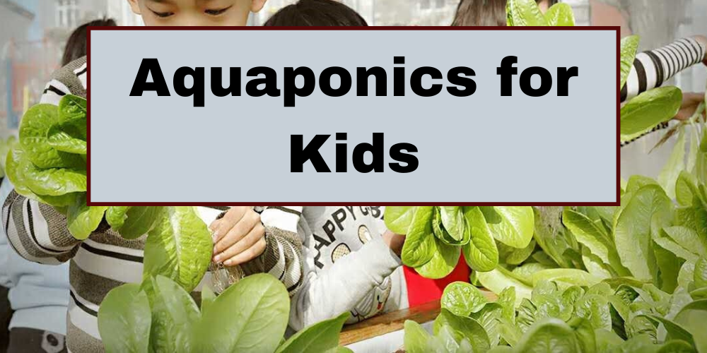 Aquaponics for Kids