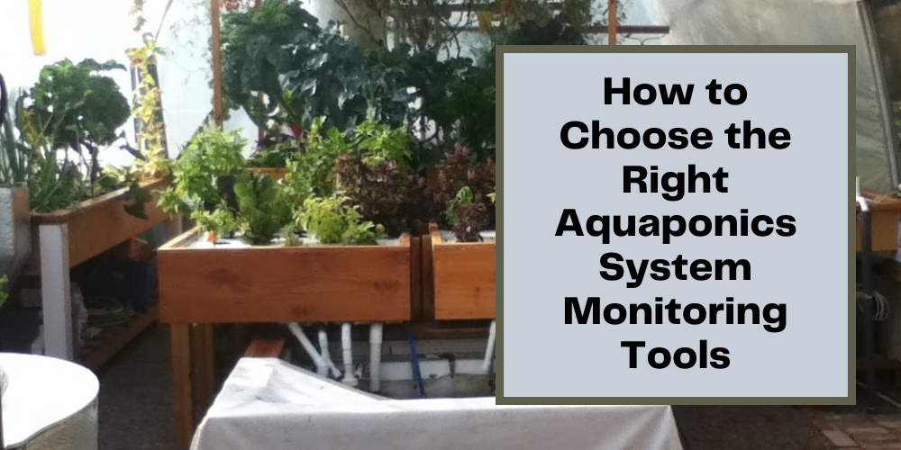 How to Choose the Right Aquaponics System Monitoring Tools