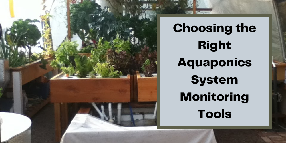 Choosing the Right Aquaponics System Monitoring Tools