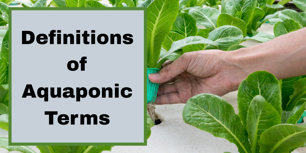 Definitions of Aquaponic Terms
