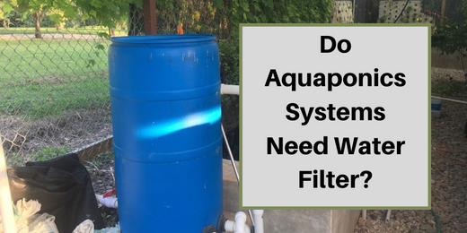 Do Aquaponics Systems Needs Water Filter?