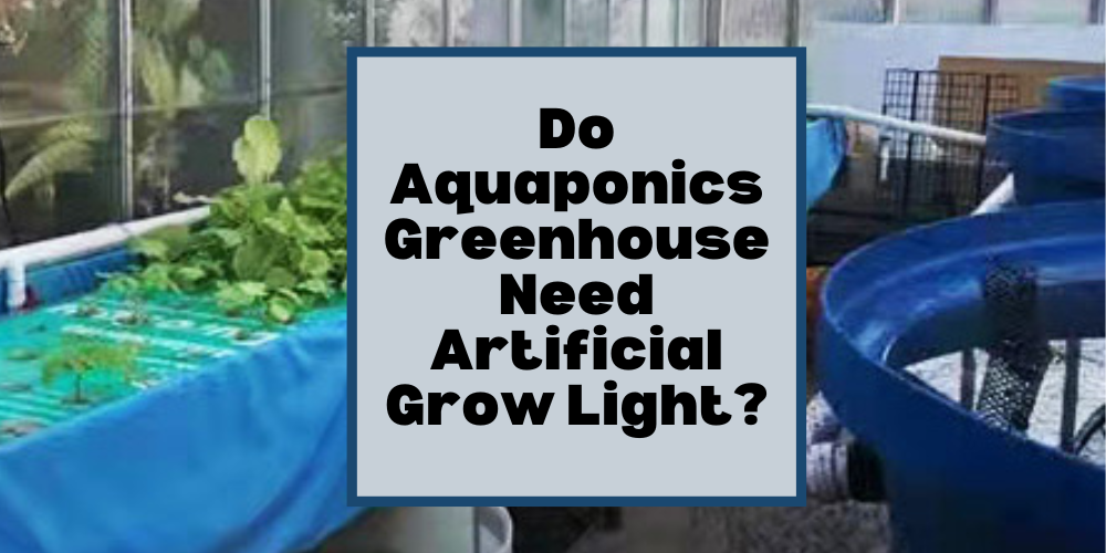 Do Aquaponics Greenhouse Need Artificial Grow Light?