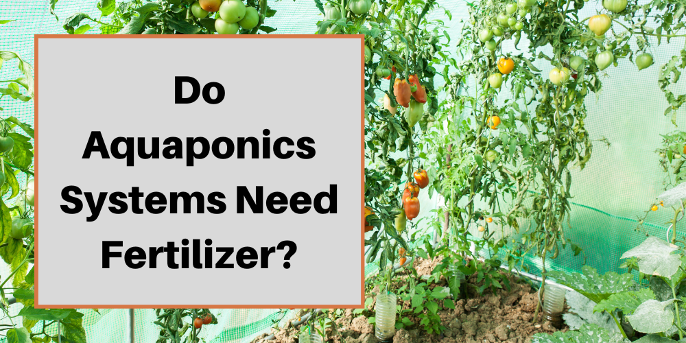 Do Aquaponics Systems Need Fertilizer?