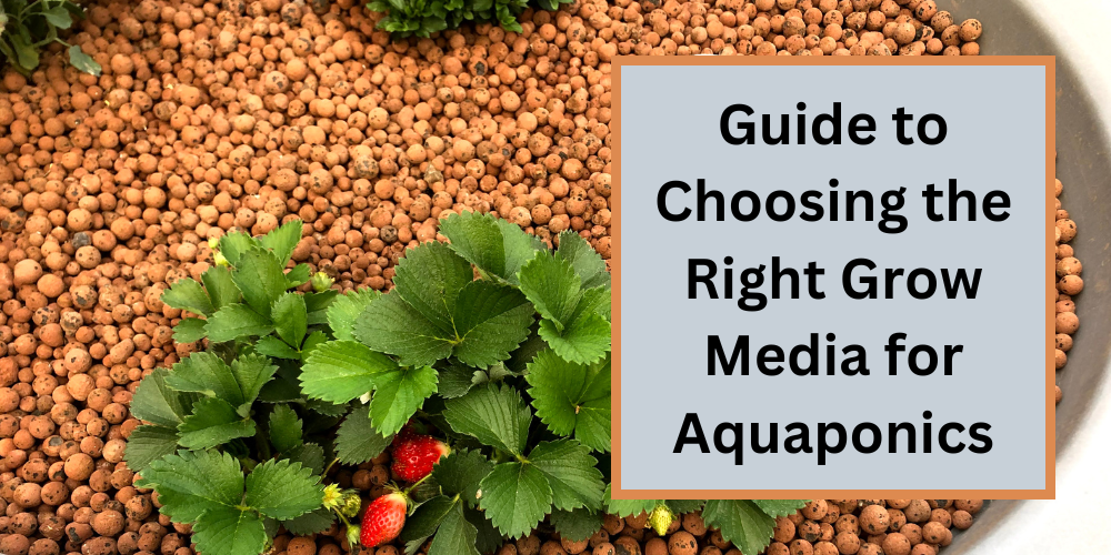 Guide to Choosing the Right Grow Media for Aquaponics