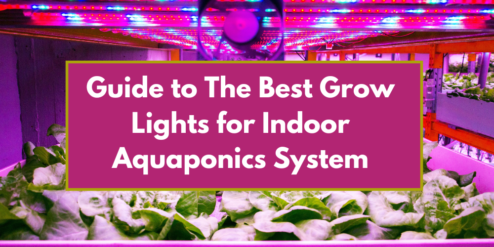 Guide to the Best Grow Lights for Indoor Aquaponics Systems