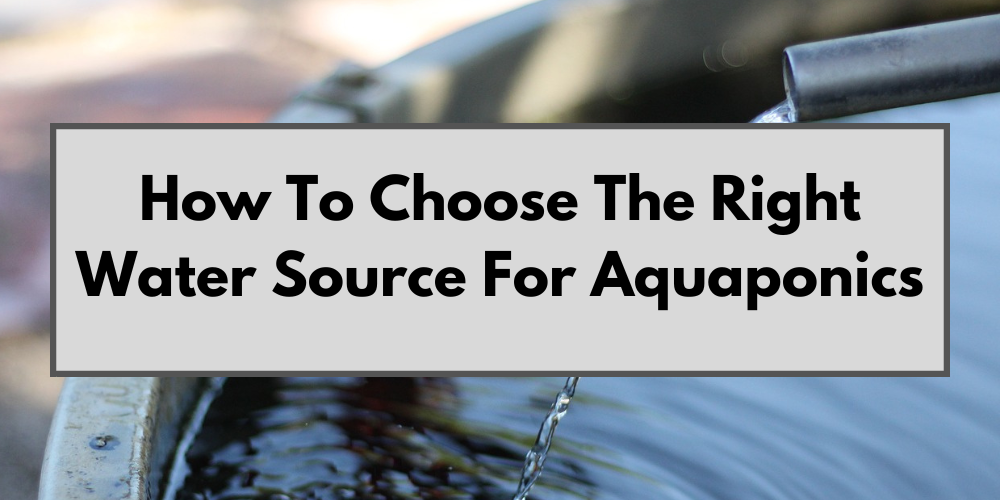 How To Choose The Right Water Source For Aquaponics