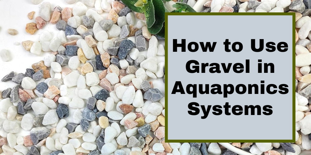How to Use Gravel in Aquaponics Systems