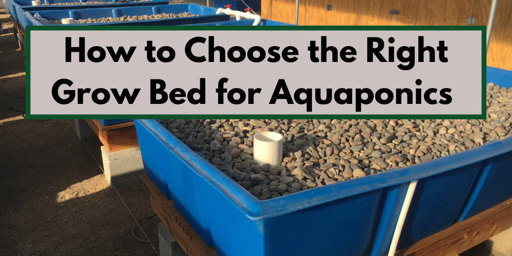 How to Choose the Right Grow Bed for Aquaponics