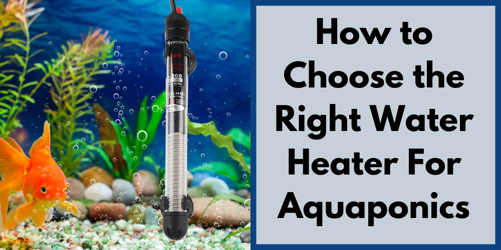 How to Choose the Right Water Heater For Aquaponics