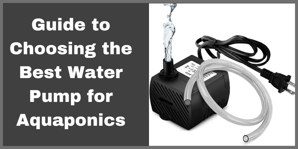 Guide to Choosing the Best Water Pump for Aquaponics 