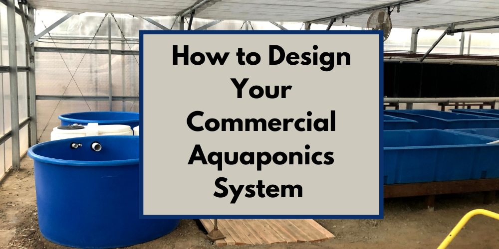 How to Design Your Commercial Aquaponics System 