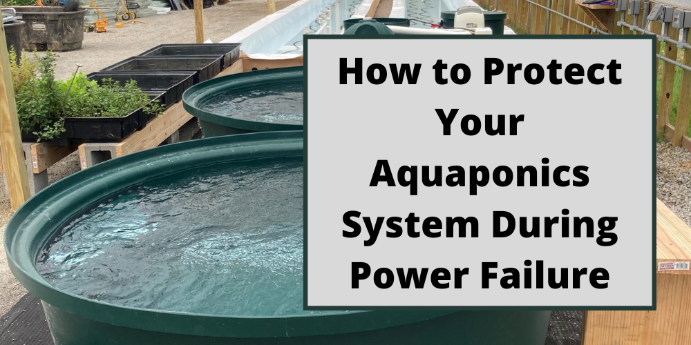 How to Protect Your Aquaponics System During Power Failure