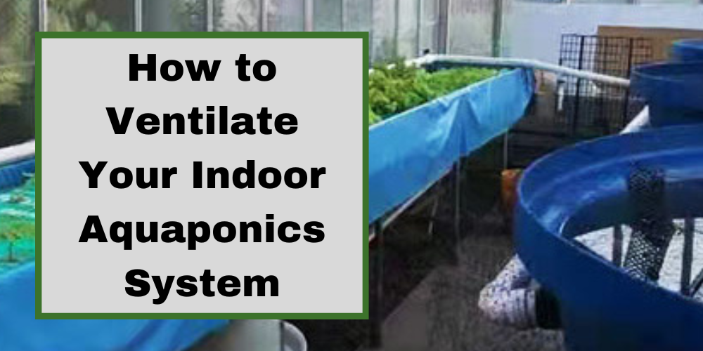 How to Ventilate Your Indoor Aquaponics System