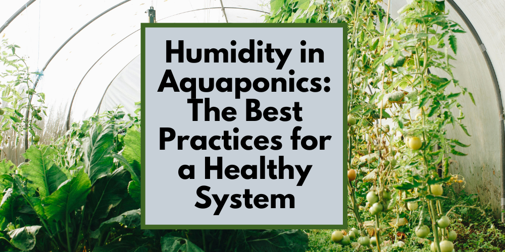 Humidity in Aquaponics: The Best Practices for a Healthy System