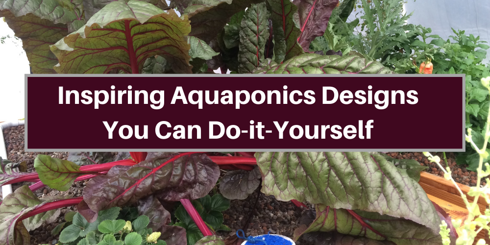 Inspiring Aquaponics Designs You Can Do-It-Yourself