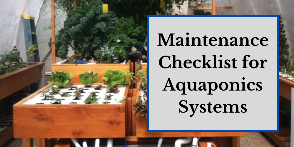 Maintenance Checklist for Aquaponics Systems