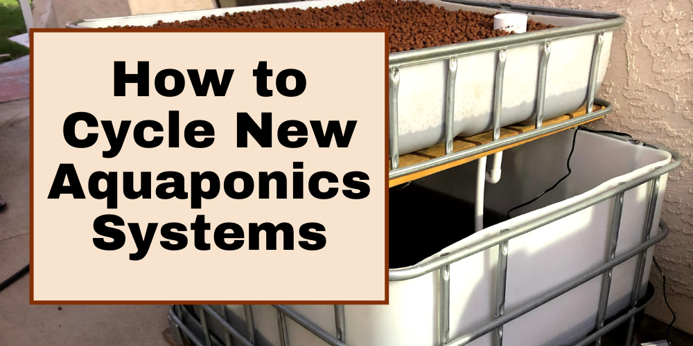 How to Cycle New Aquaponics Systems