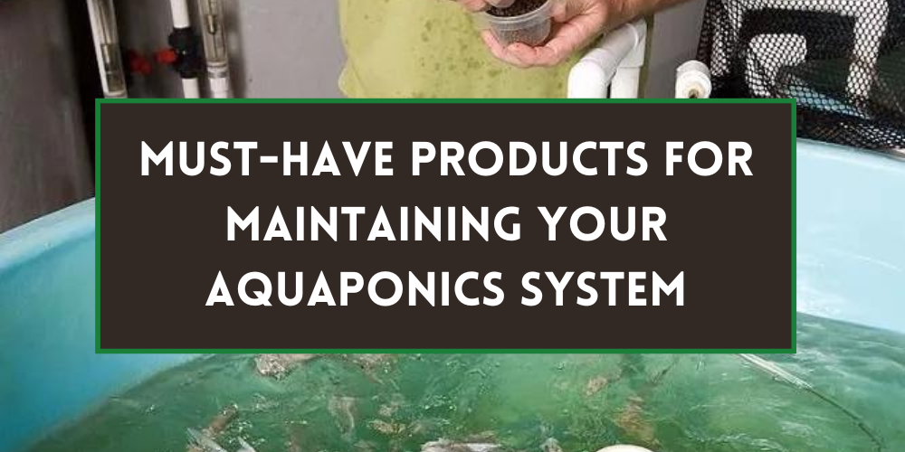 Must-Have Products For Maintaining Your Aquaponics System