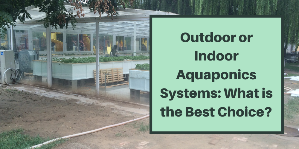 Outdoor or Indoor Aquaponics Systems: What is the Best Choice?