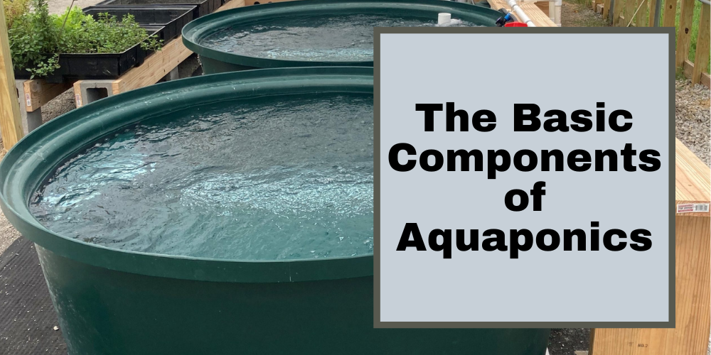 The Basic Components of Aquaponics