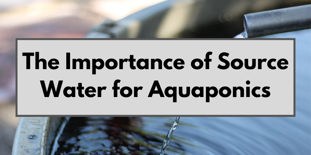 The Importance of Source Water for Aquaponics