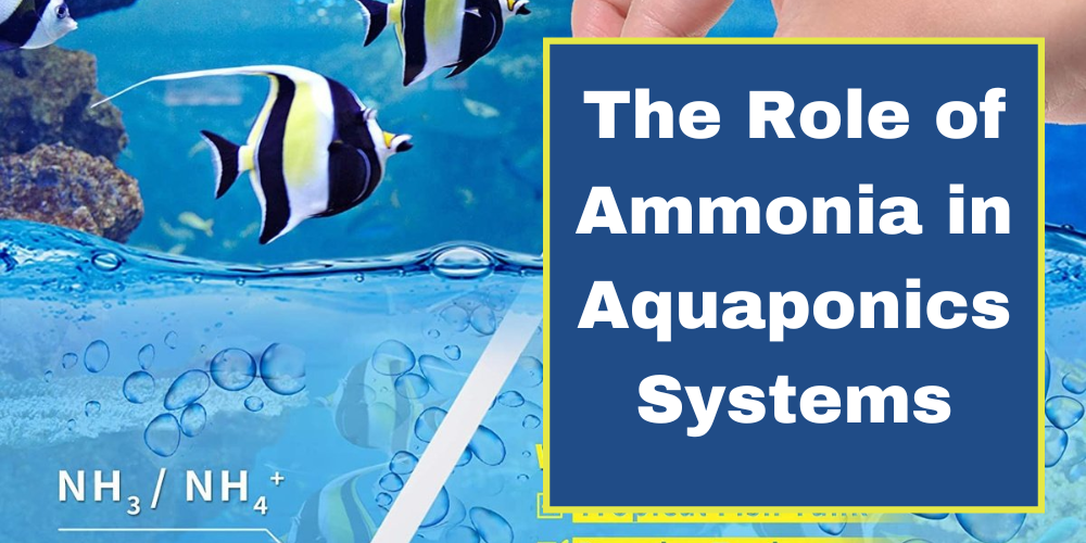The Role of Ammonia in Aquaponics Systems
