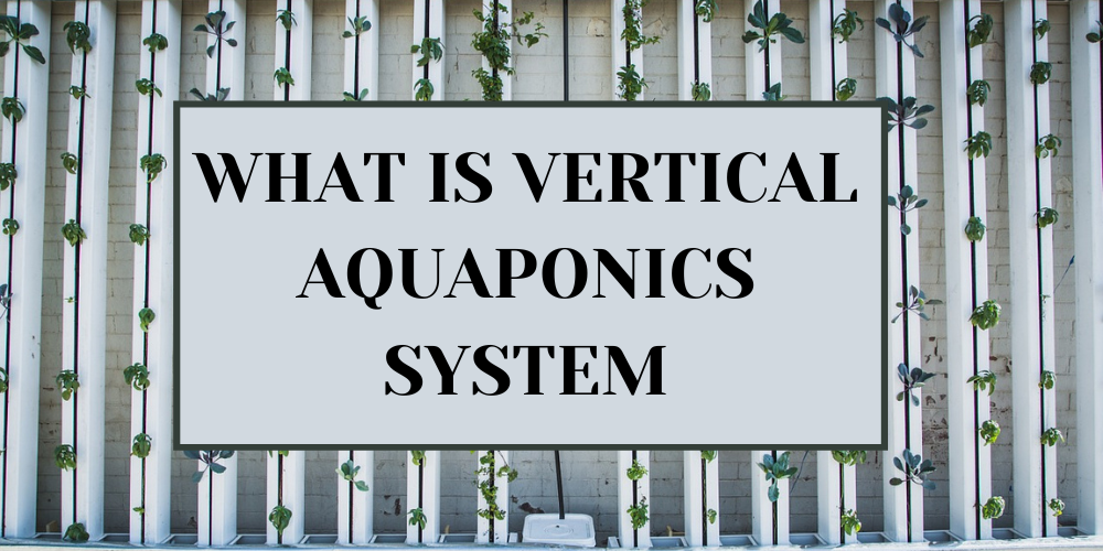 What is Vertical Aquaponics System