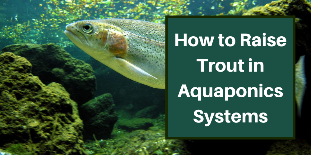 Pots of Gold: Hand-Spawning Native Trout · Tennessee Aquarium