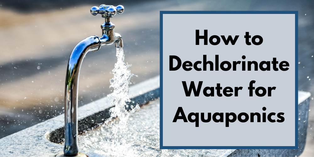 How to Dechlorinate Water for Aquaponics