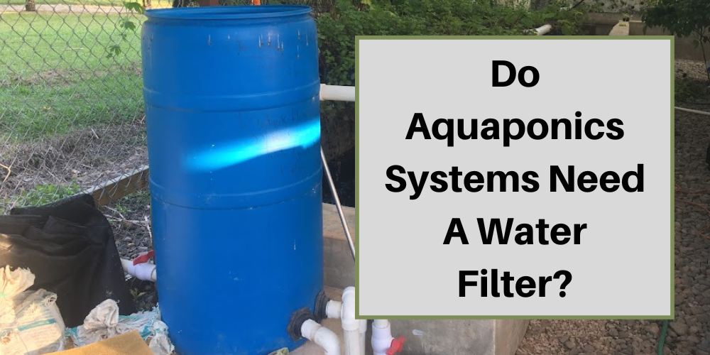 Do Aquaponics Systems Needs Water Filter?