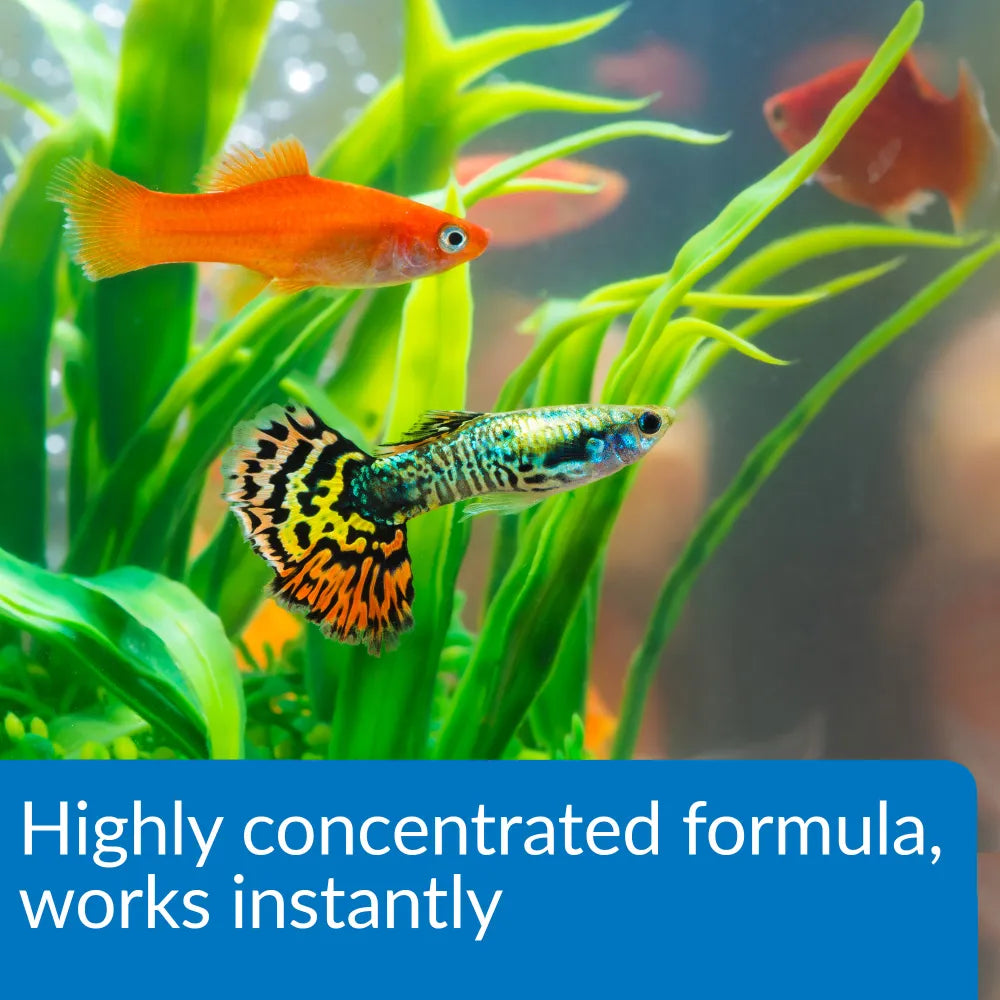 Two colorful aquarium fish swim among green plants in a vibrant fish tank, with text at the bottom reading, "TAS Aqua Essential Water Conditioner—highly concentrated formula works instantly to remove chlorine.