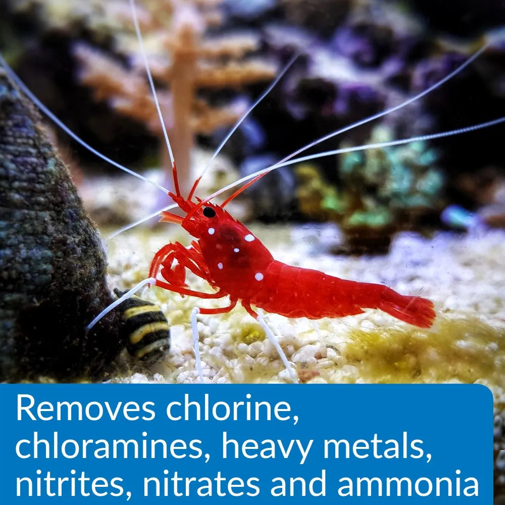 A red shrimp with white spots is on the sandy bottom of a fish tank. Text below reads: "Remove chlorine, chloramines, heavy metals, nitrites, nitrates, and ammonia from your aquarium with TAS Aqua Essential Water Conditioner.