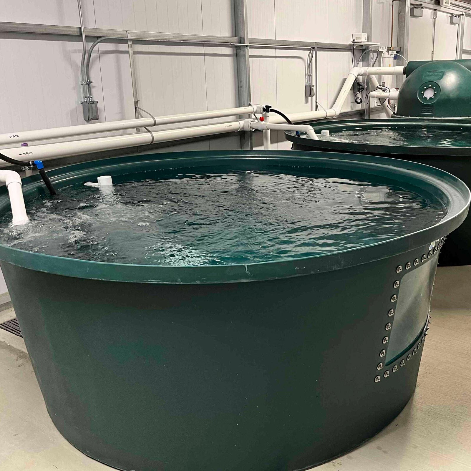 The TAS AquaBundance Modular 500 Gallon Fish Tank, made of food-safe plastic and fully equipped with pipes, is filled with water and placed indoors against a white wall.