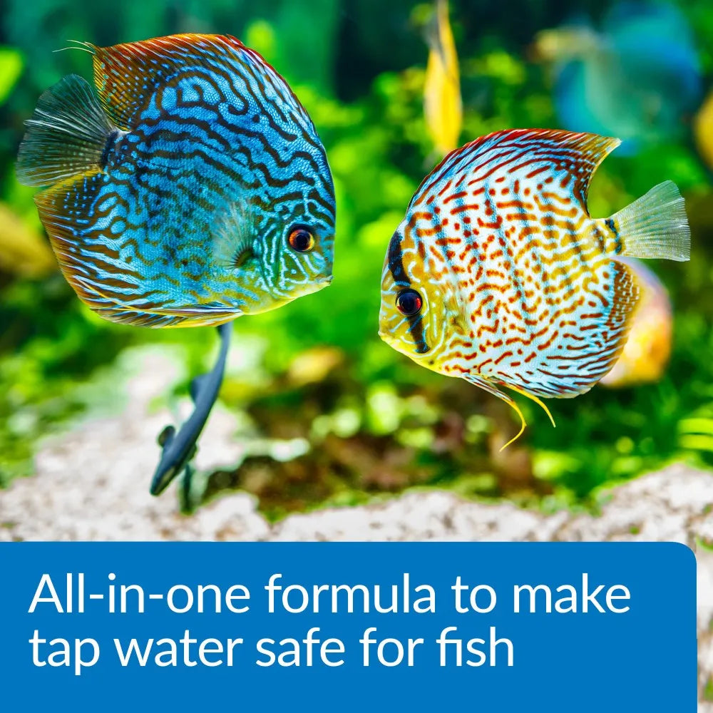 Two colorful fish swim near each other in a vibrant, plant-filled aquarium, accompanied by text promoting TAS Aqua Essential Water Conditioner—an all-in-one formula that instantly removes chlorine from tap water to keep your fish healthy.