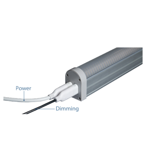 Close-up of a TAS Boost & Infinity Dimming Interconnection Cable (28in) plugged into an Infinity LED fixture, with separate "Power" and "Dimming" cables for optimal lighting control.