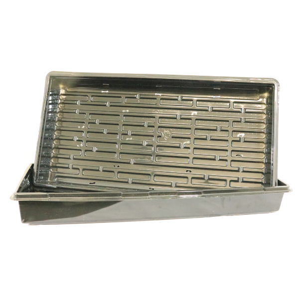 A pair of rectangular plastic seed trays from TAS, designed with inside drainage slots for optimal microgreen sprouting when used with the Growasis Microgreen Kit and Coco Coir.