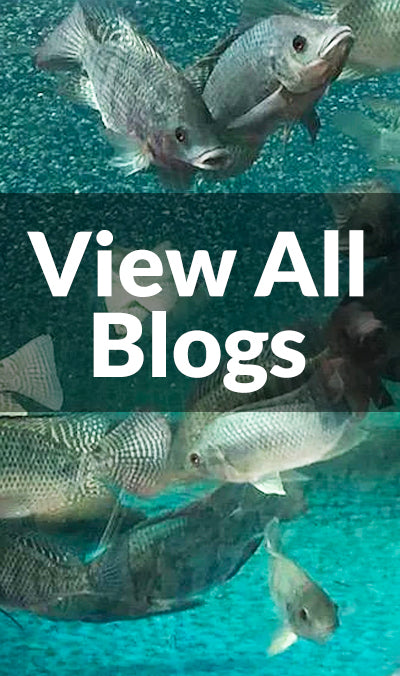 Go Green Aquaponics - Your One Stop Shop For Everything Aquaponics