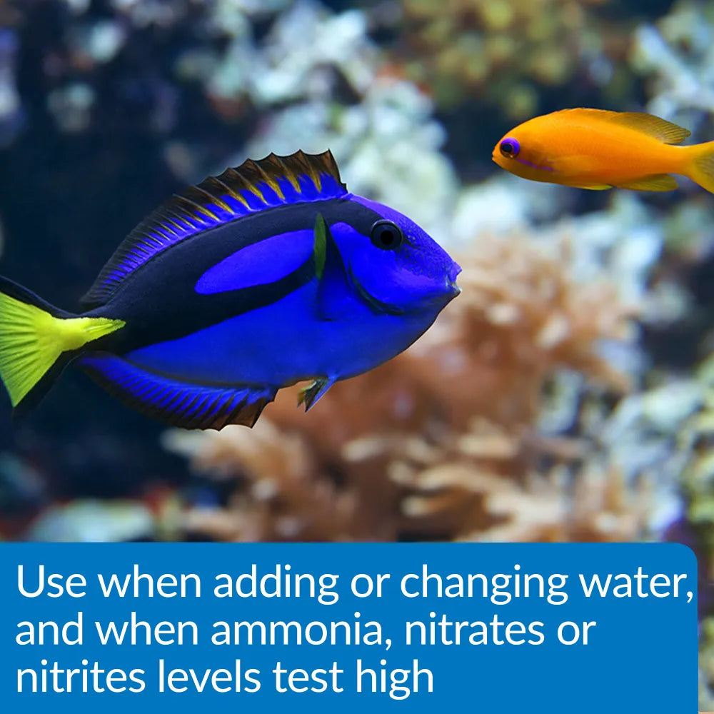 Two colorful fish swim in a tank among vibrant coral. Text recommends using TAS Aqua Essential Water Conditioner—which removes chlorine—when adding or changing water, or if ammonia, nitrate, or nitrite levels are elevated.